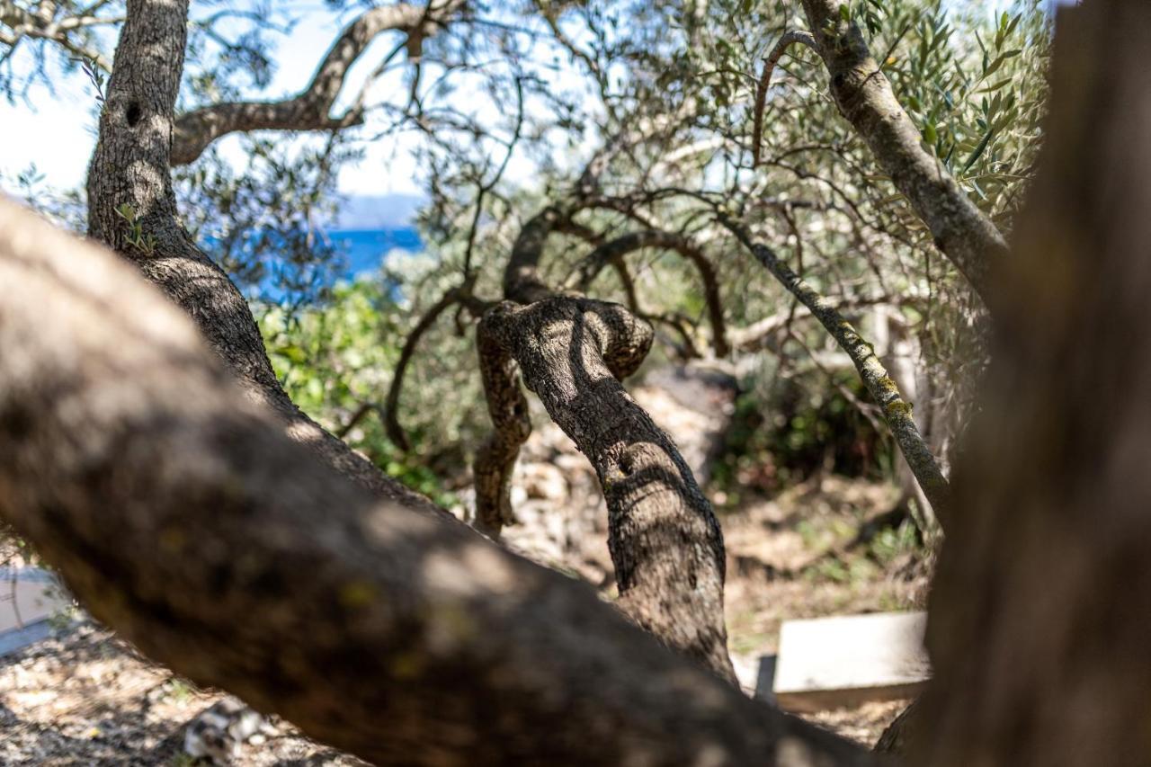 Olive'S Garden House Villa Vela Luka Luaran gambar