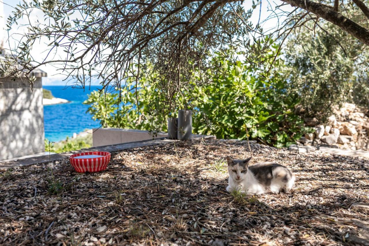 Olive'S Garden House Villa Vela Luka Luaran gambar